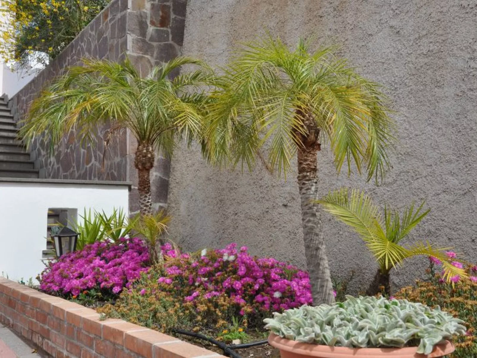 Wohnung 'Ginestra' mit Terrasse-Dehors