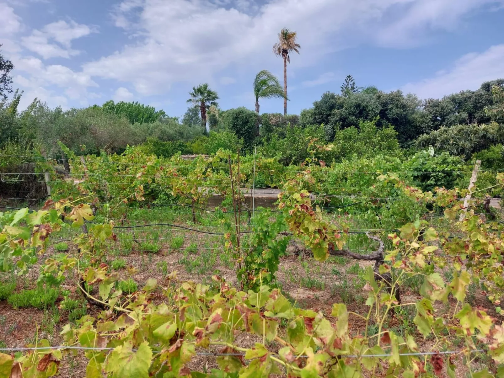 Entspannung, Meer, Natur, Kultur-Image-tags.info