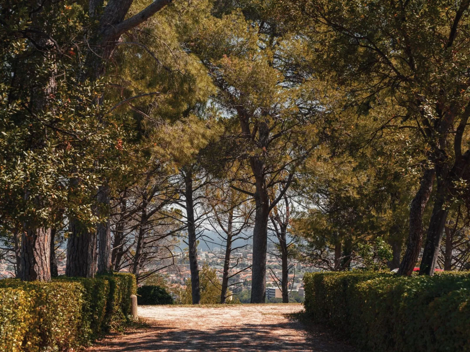 Studio-Apartment mit Garten, Grill, Pool und Aussicht-Dehors