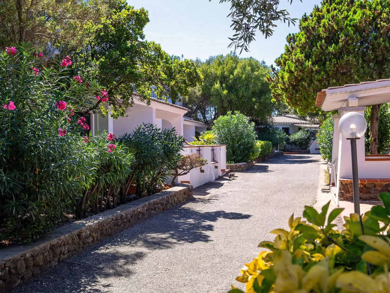 Apt. Dorata 1B, mit gemeinsamem Schwimmbad-Image-tags.info