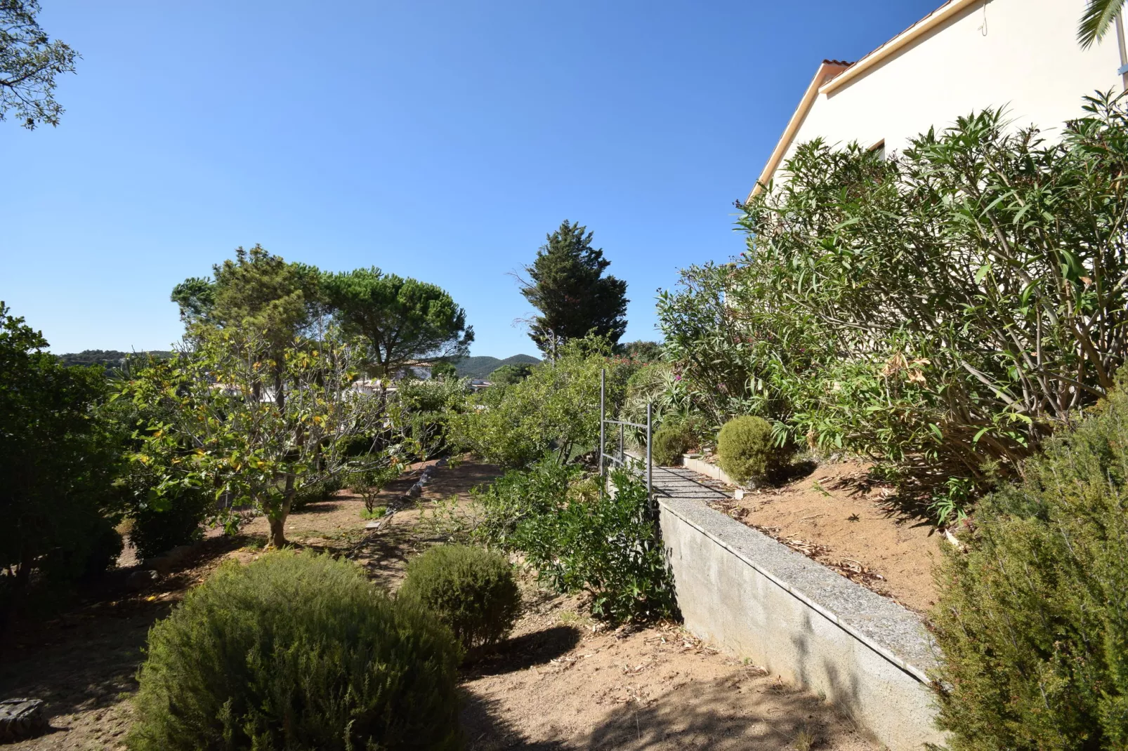 PréciliCédri-Gardens summer