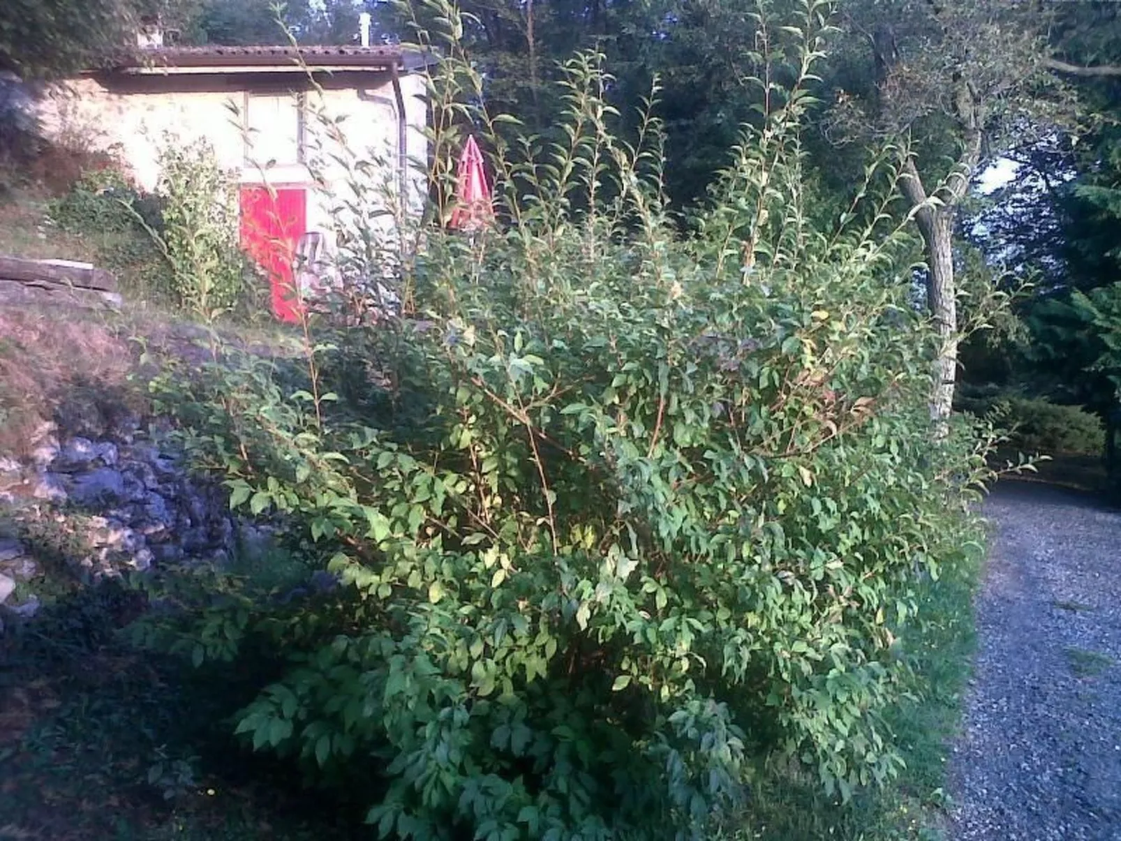 Niederwaldhaus in Solto Collina