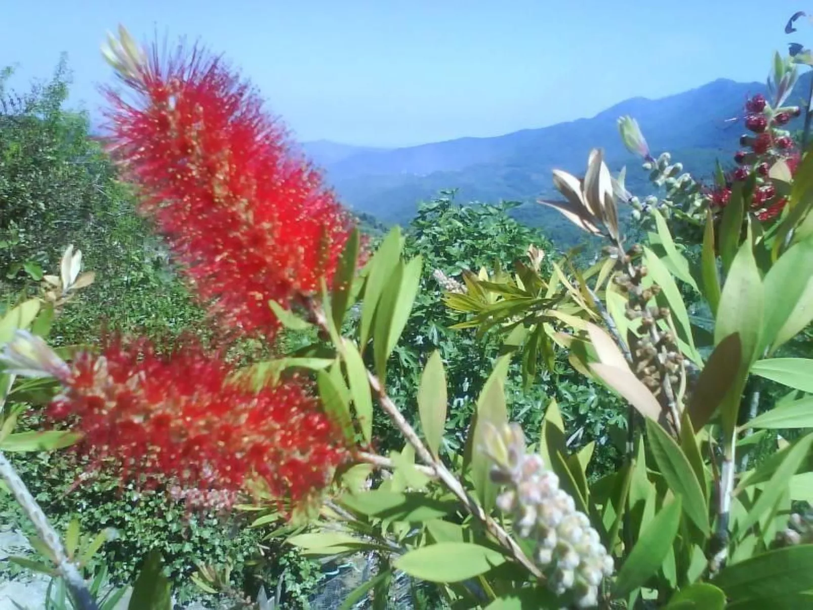 Schönes Ferienhaus mit Garten und Whirlpool-Draußen