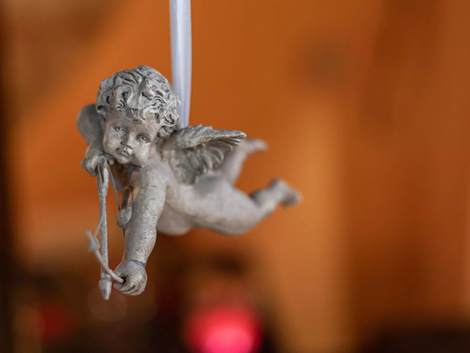 Haubentaucher-Drinnen