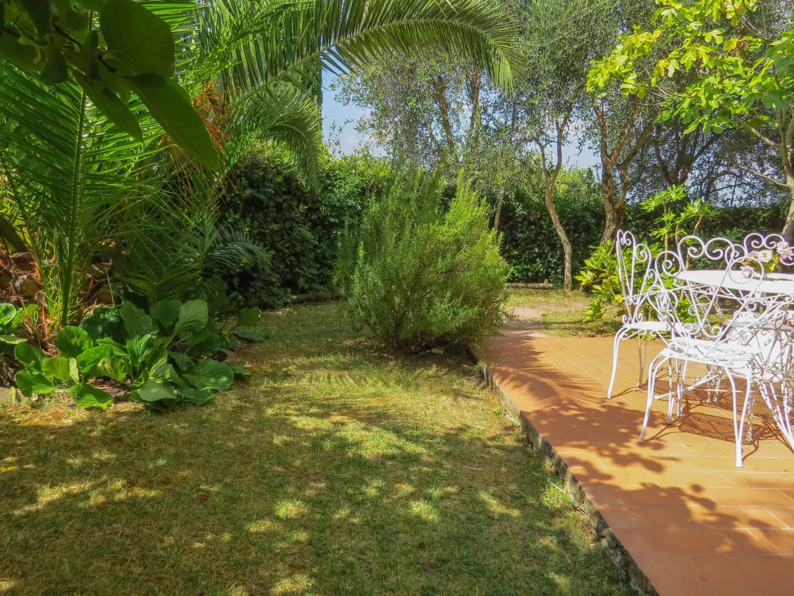 Pieve pomaia trilo flach