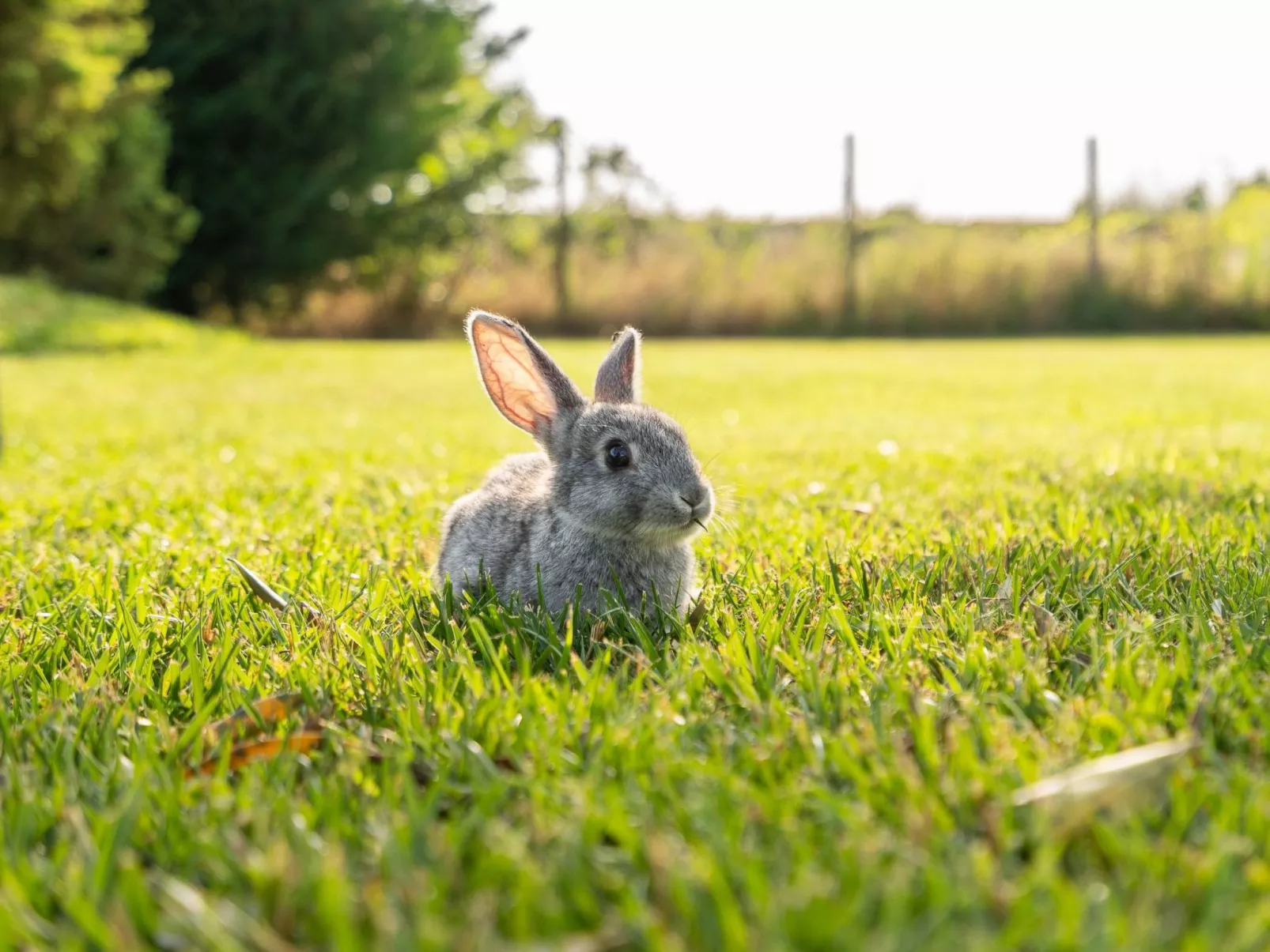 Unterkunft Conte-Draußen