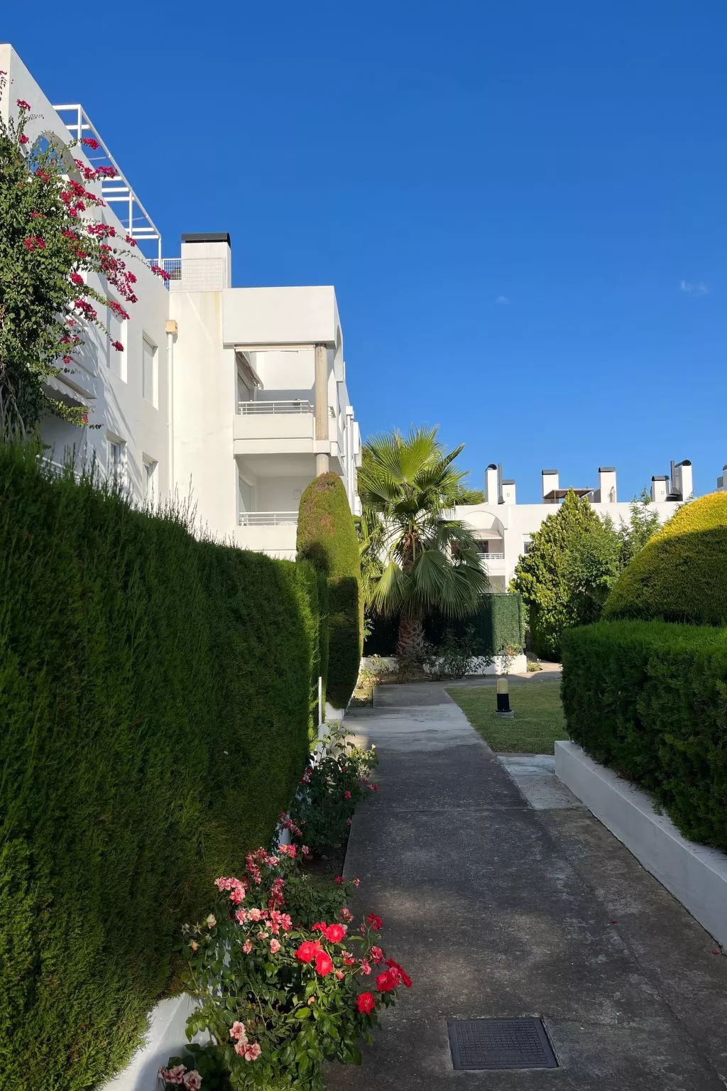 ISholidays Acron Puerto Pollensa