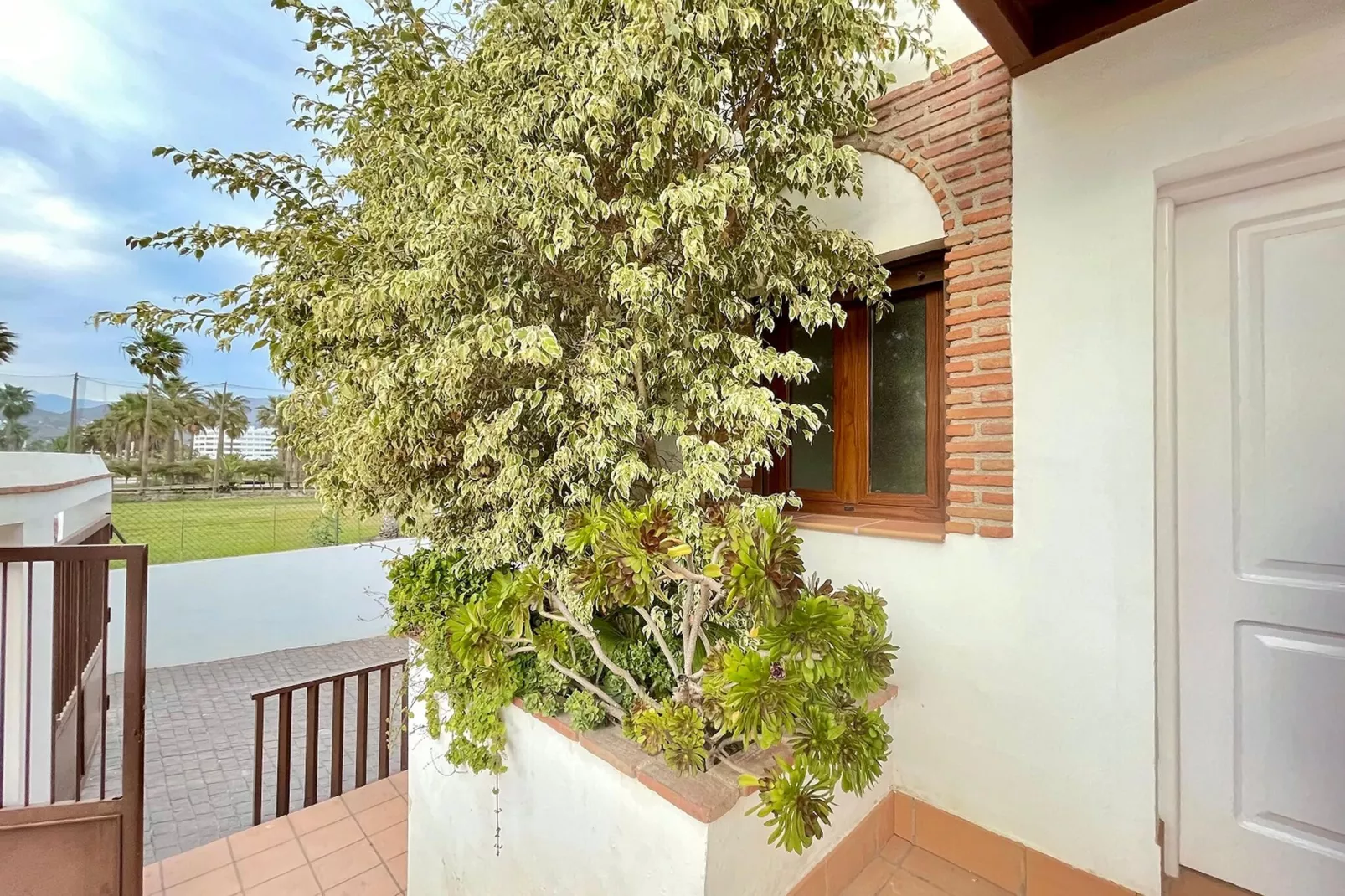 Villa Playa & Golf II-Exterior summer