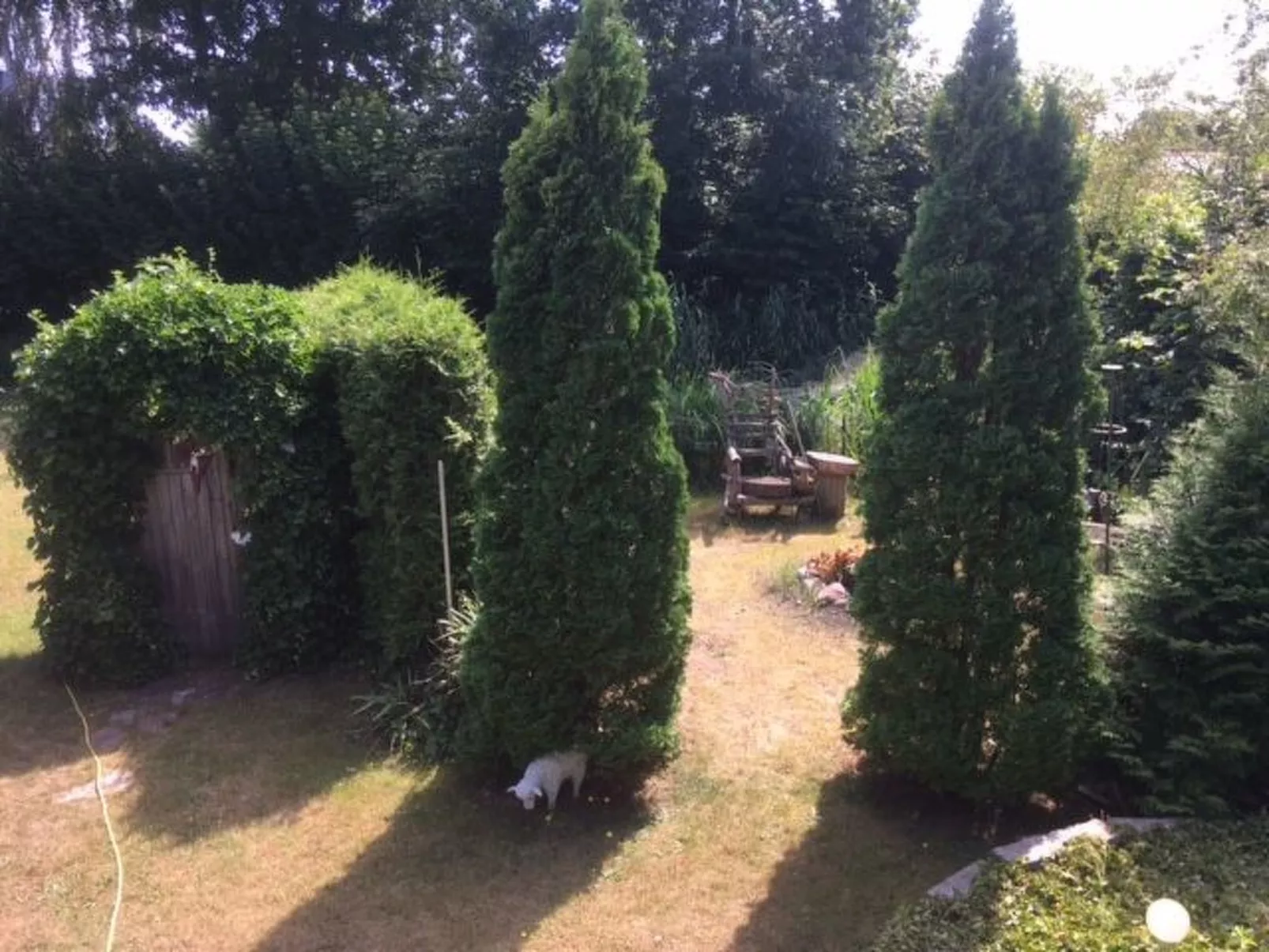 Modernisierte Ferienwohnung mit Balkon-Dehors