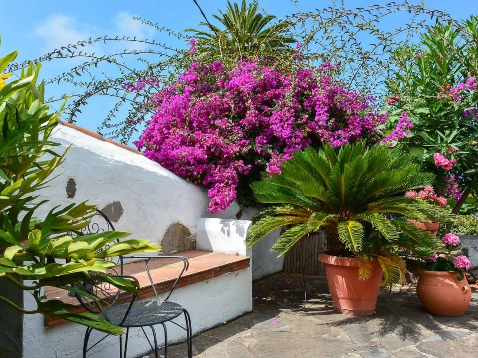 Renovierte Finca Paradies mit privatem Pool-Image-tags.info