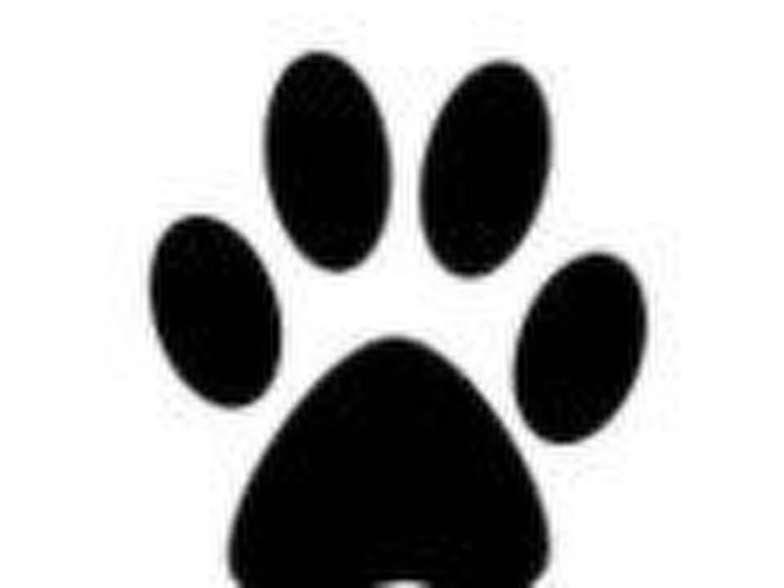 Idyllisches Landhaus Rosemary-Image-tags.info