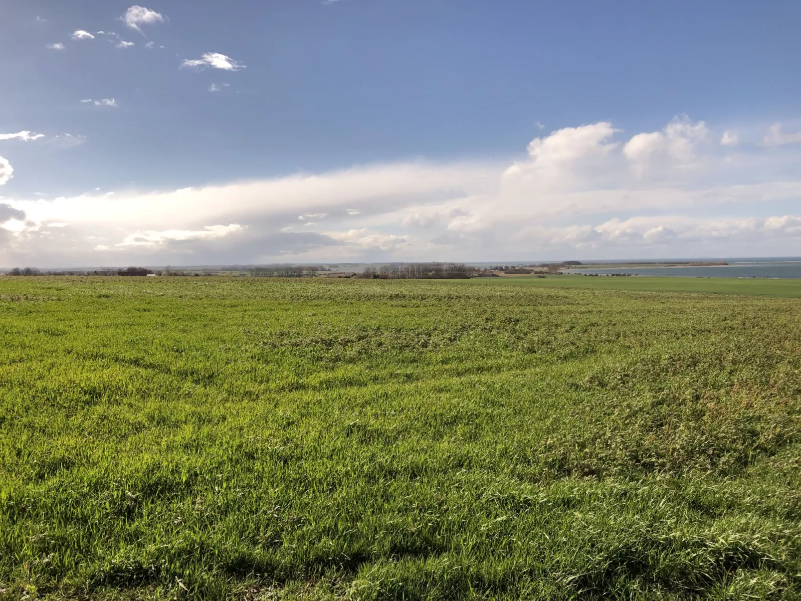 FH Salzhaff-Urlaub-Area