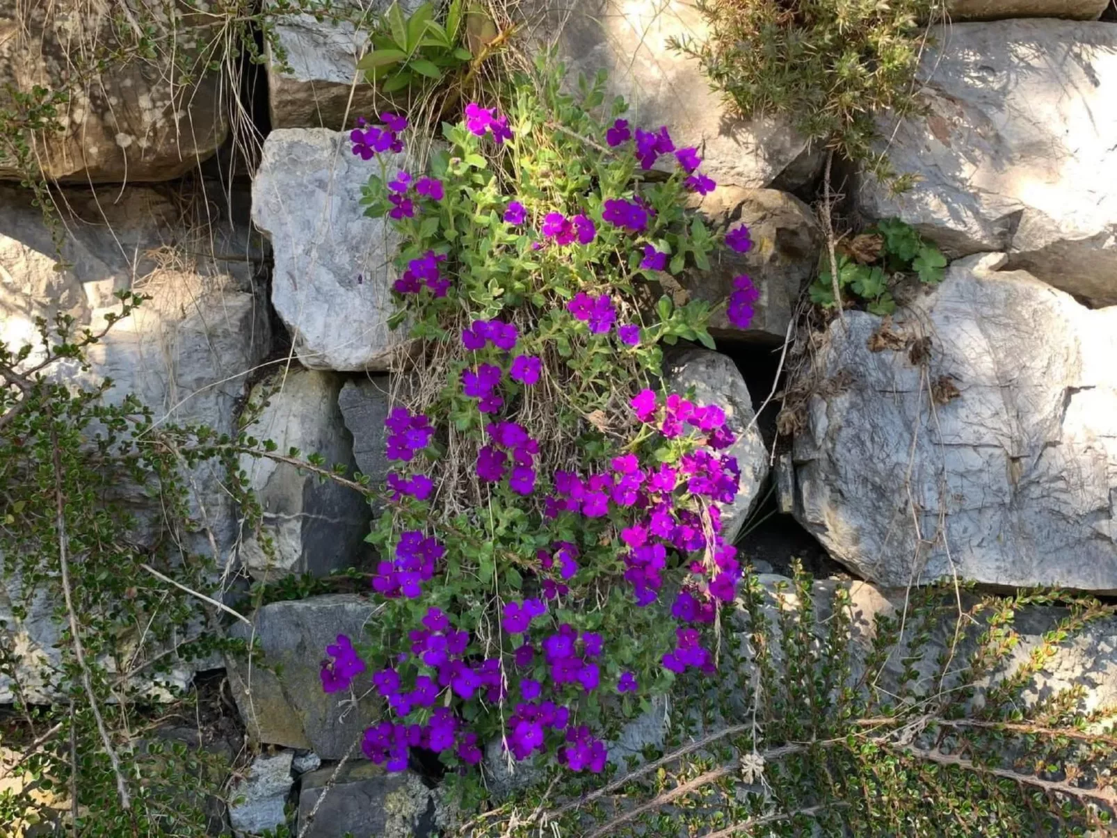 Chalet Mahli in Saas bei Klosters - Image-tags.info