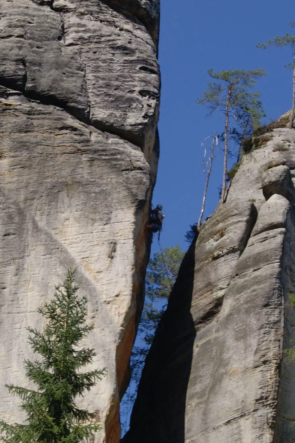 In natürlicher Umgebung-Draußen