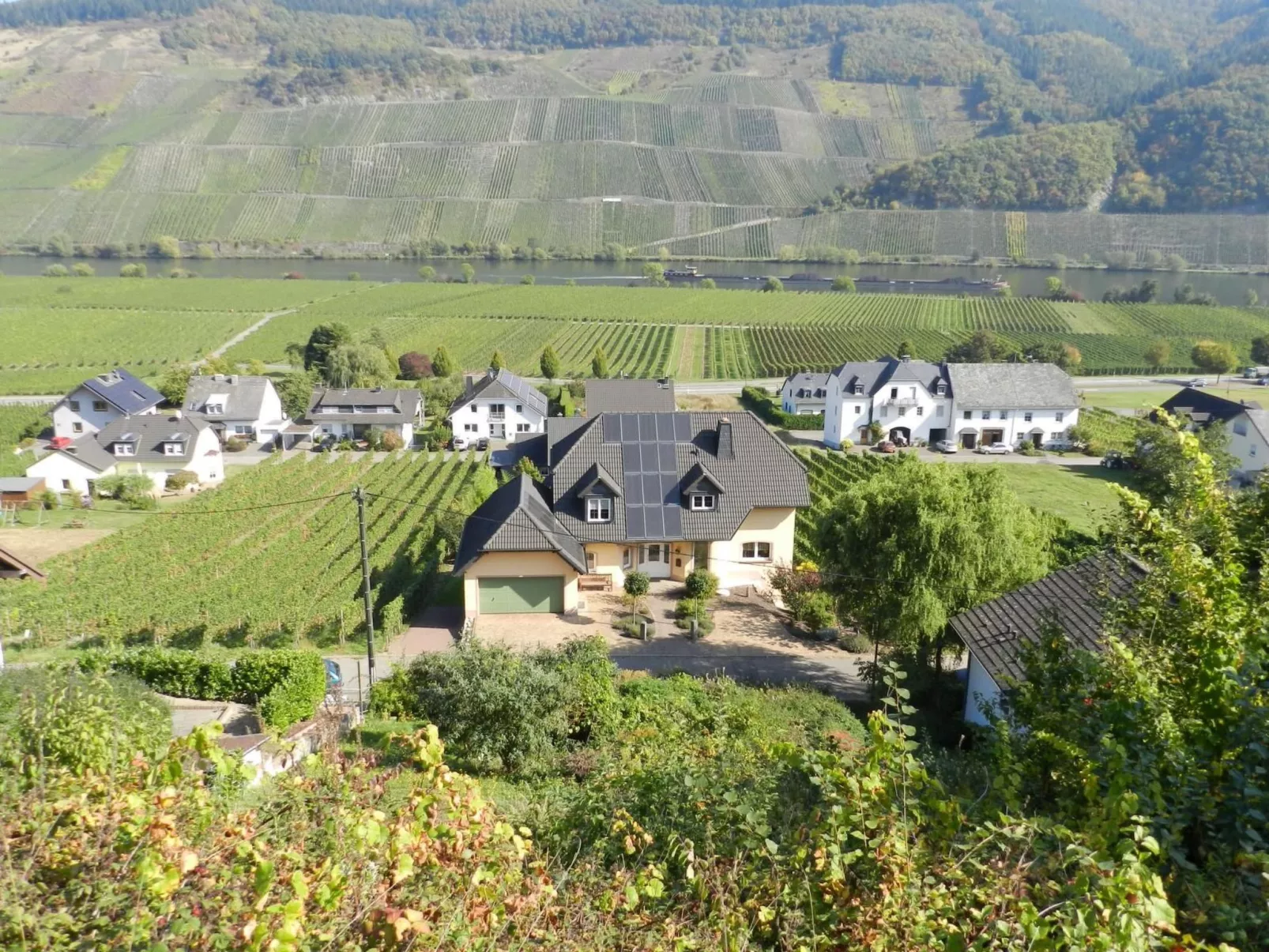 Schöne Ferienwohnung mit Terrasse und Moselblick