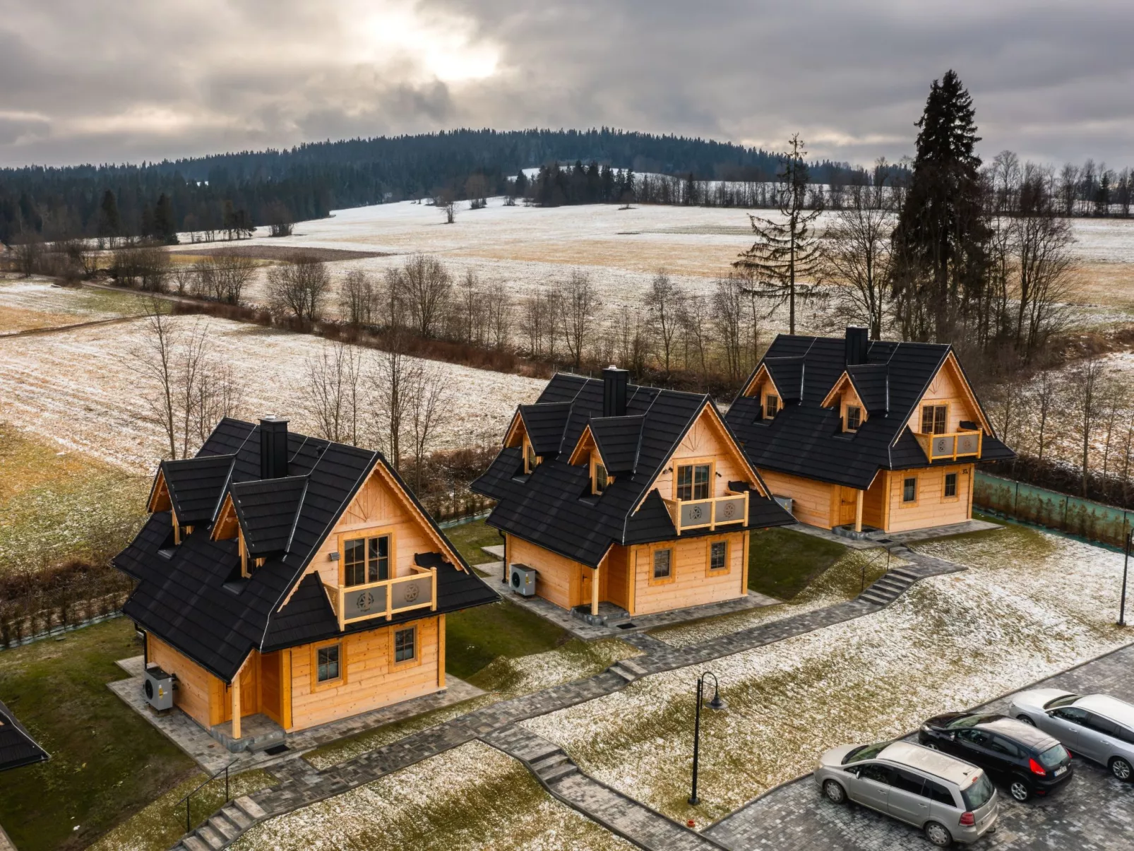 Krokus Tal Dorf unter der Tatra-Draußen