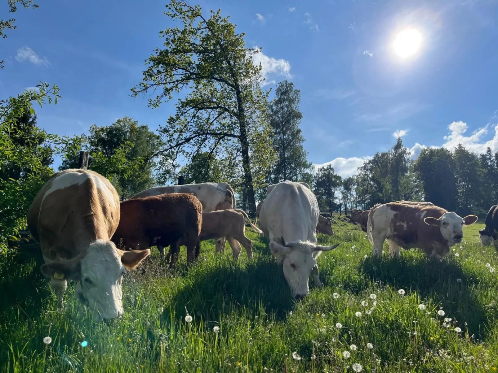 Wandlhof Ferienwohng-Outside