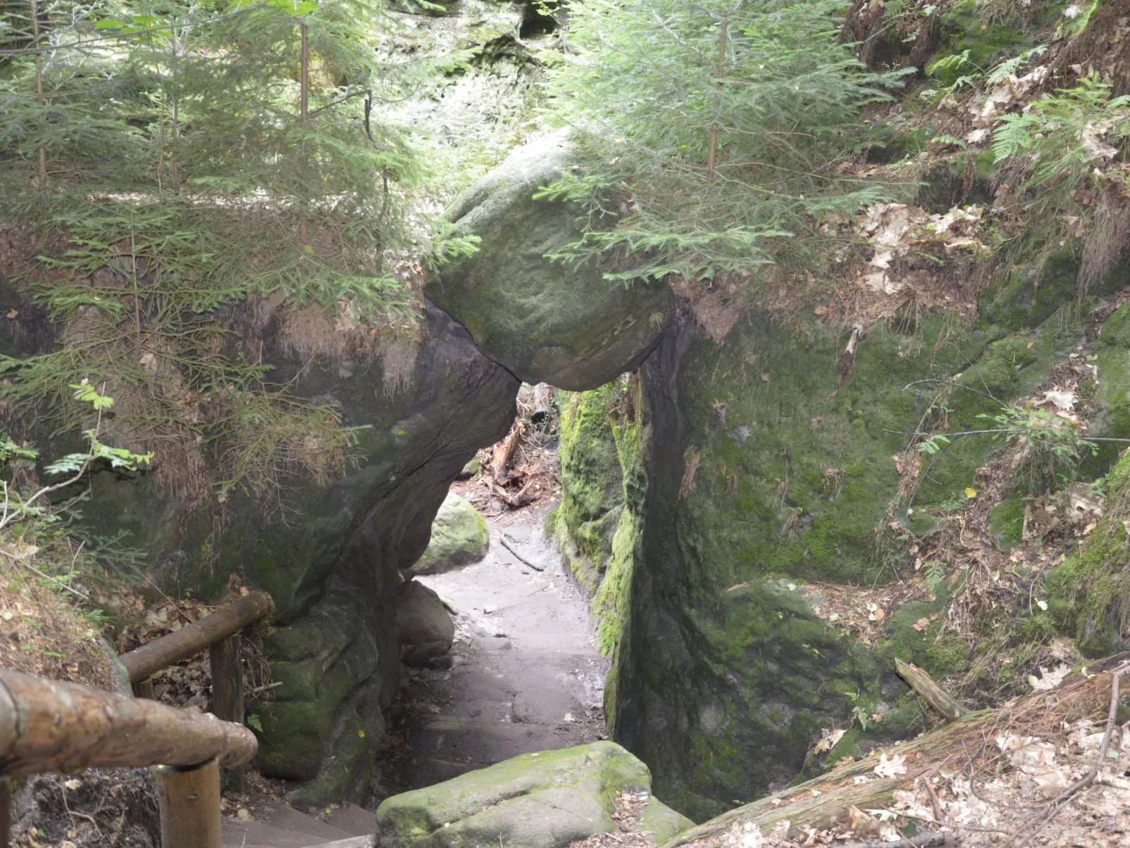 Panoramablick in Königstein-Dehors