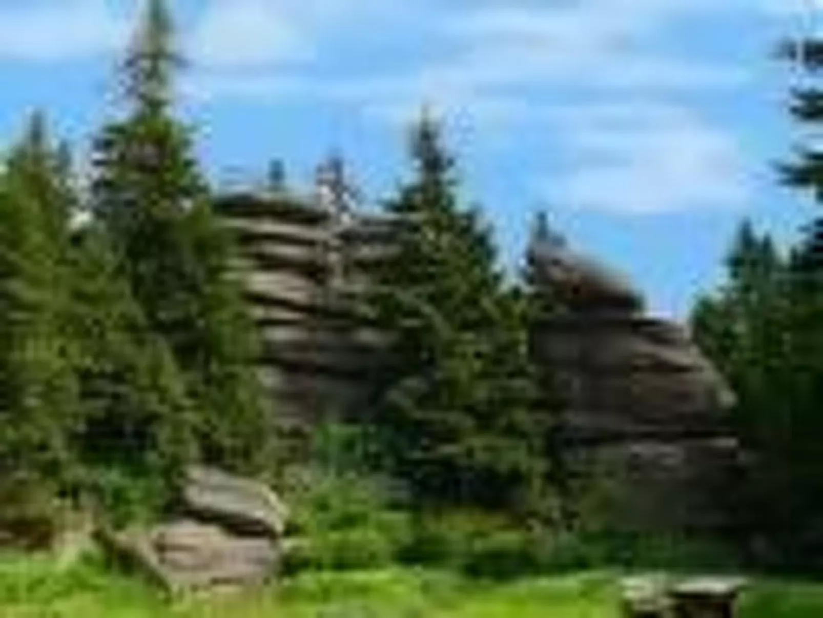 Mit Kaminofen, Fitnessraum und Sauna-Draußen