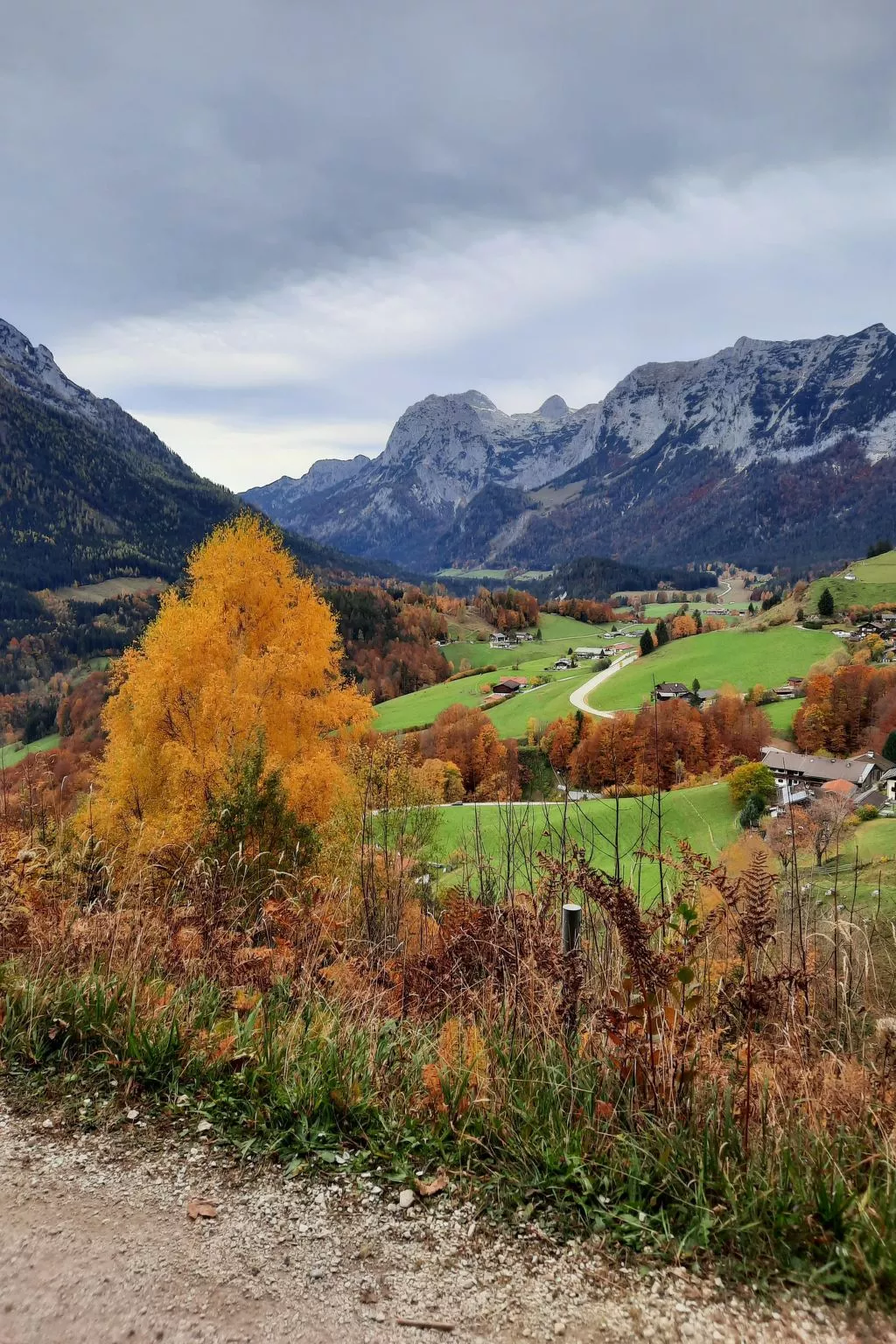 Fewo Rheinfeld-Draußen