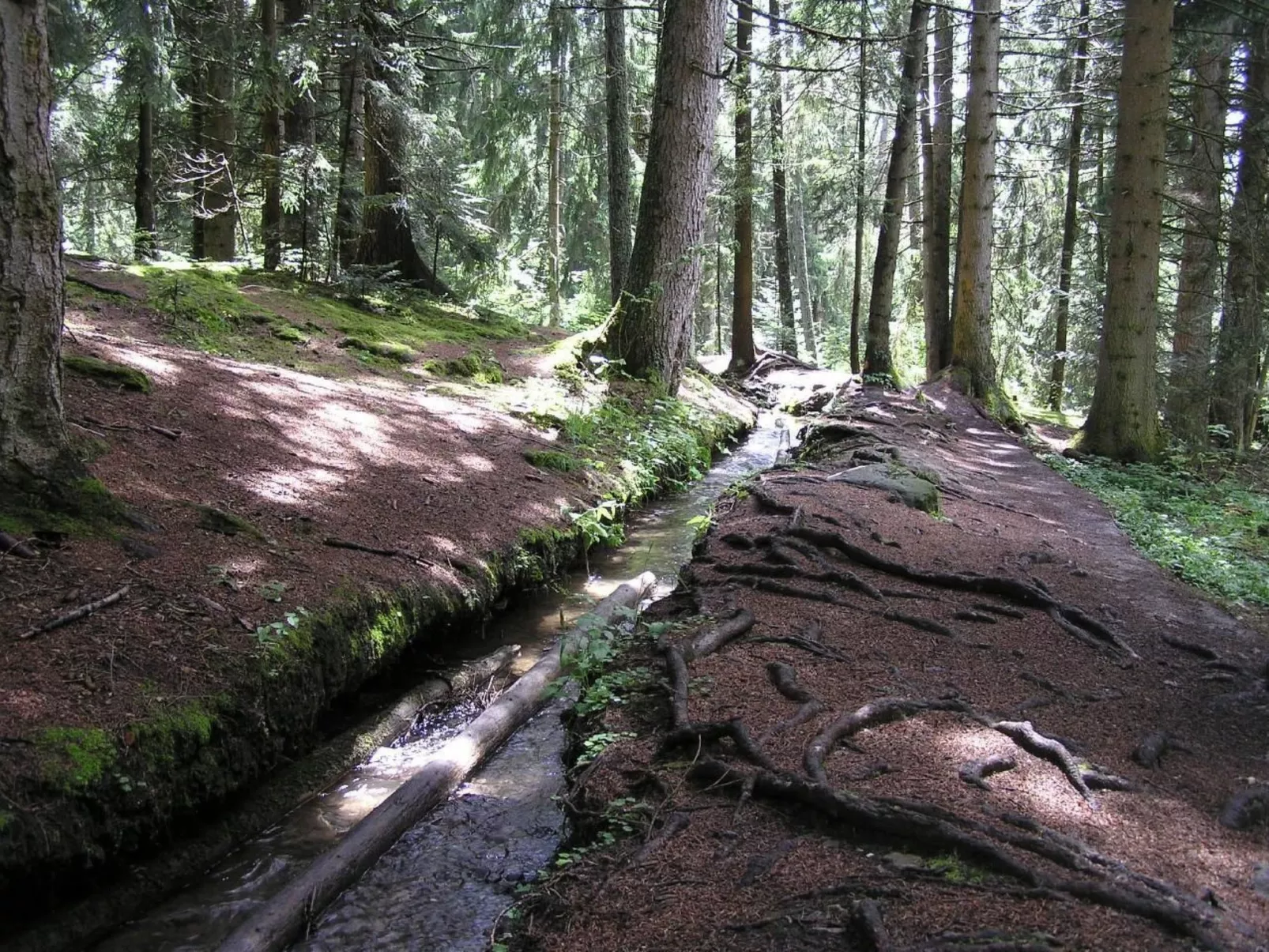 Chalet Paprika-Image-tags.info