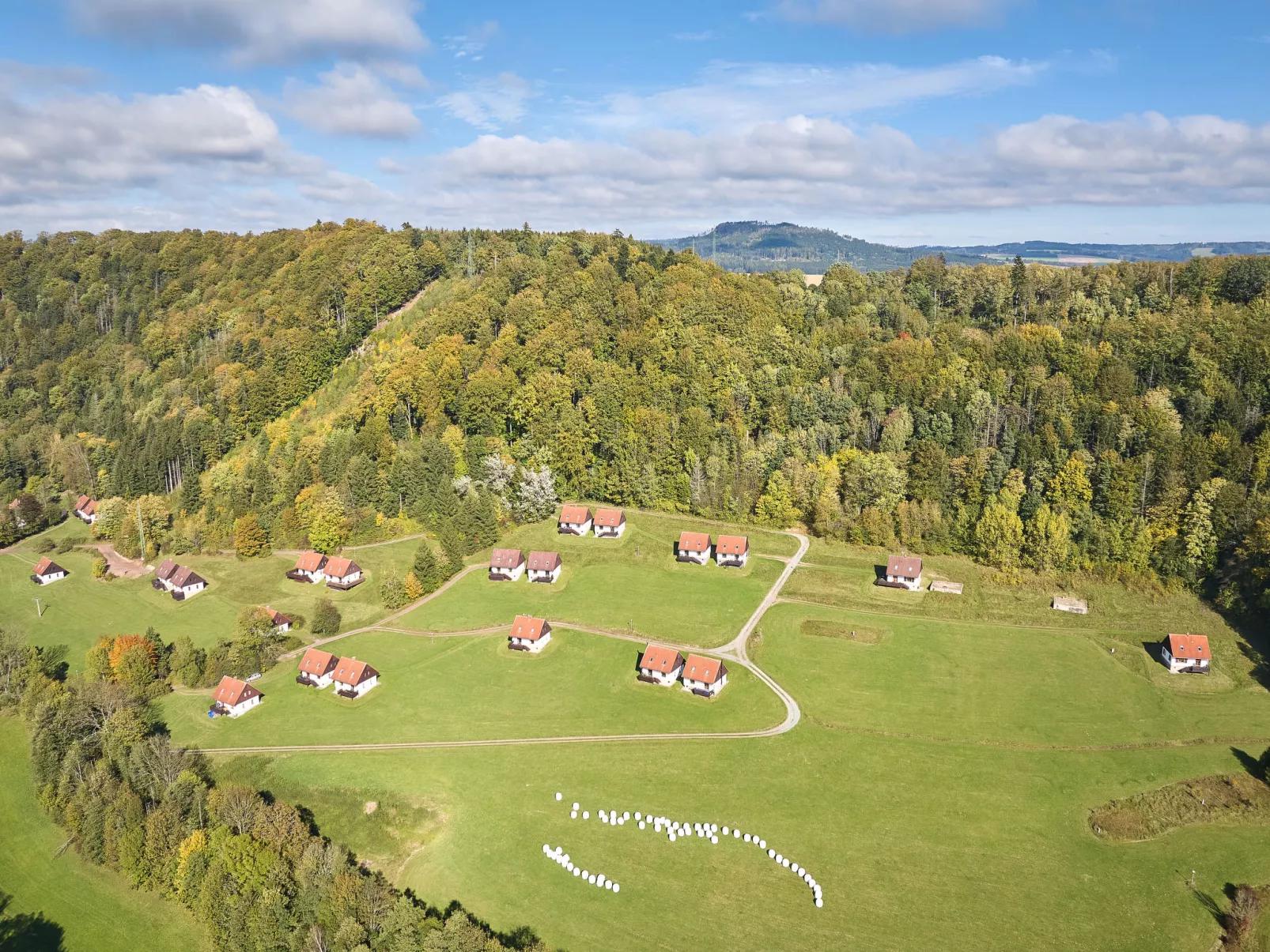 In  Green Valley Park 4 - Area