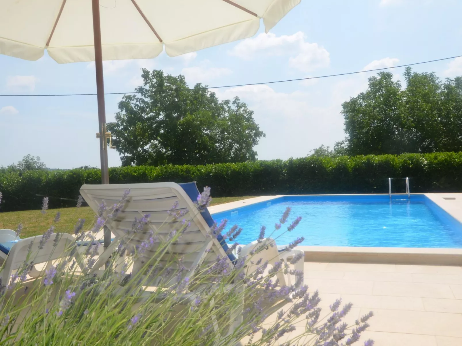 Landgut "Fragola" mit Blick auf die Berge-Draußen