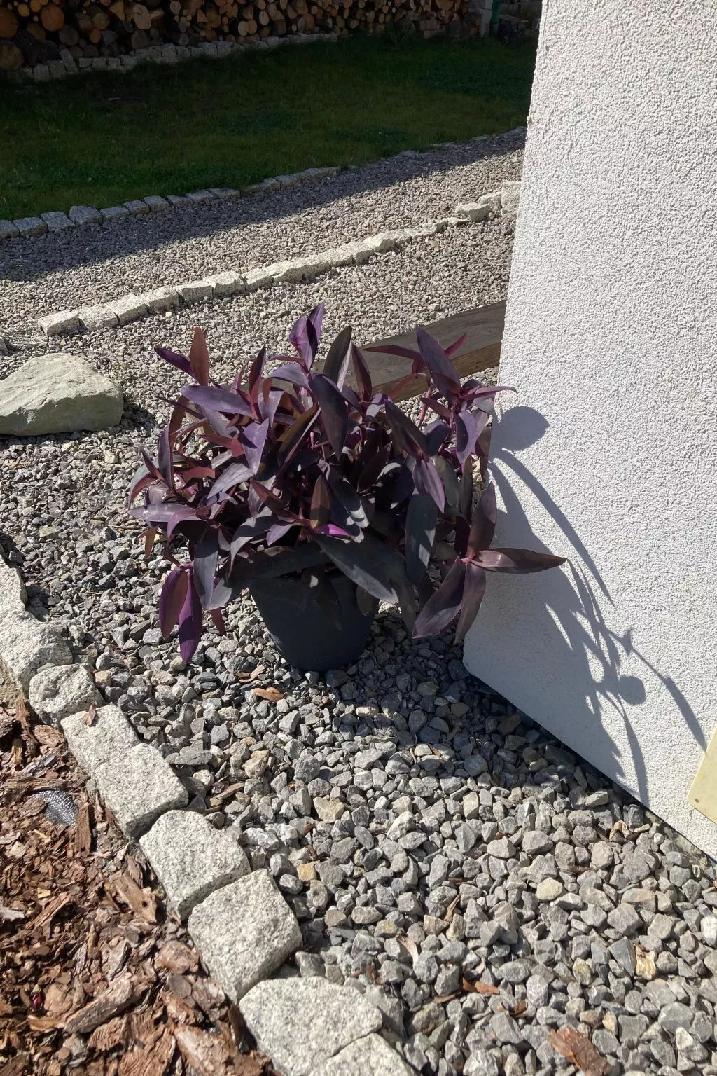 Tor der Berge - Hütte Wolf-Draußen