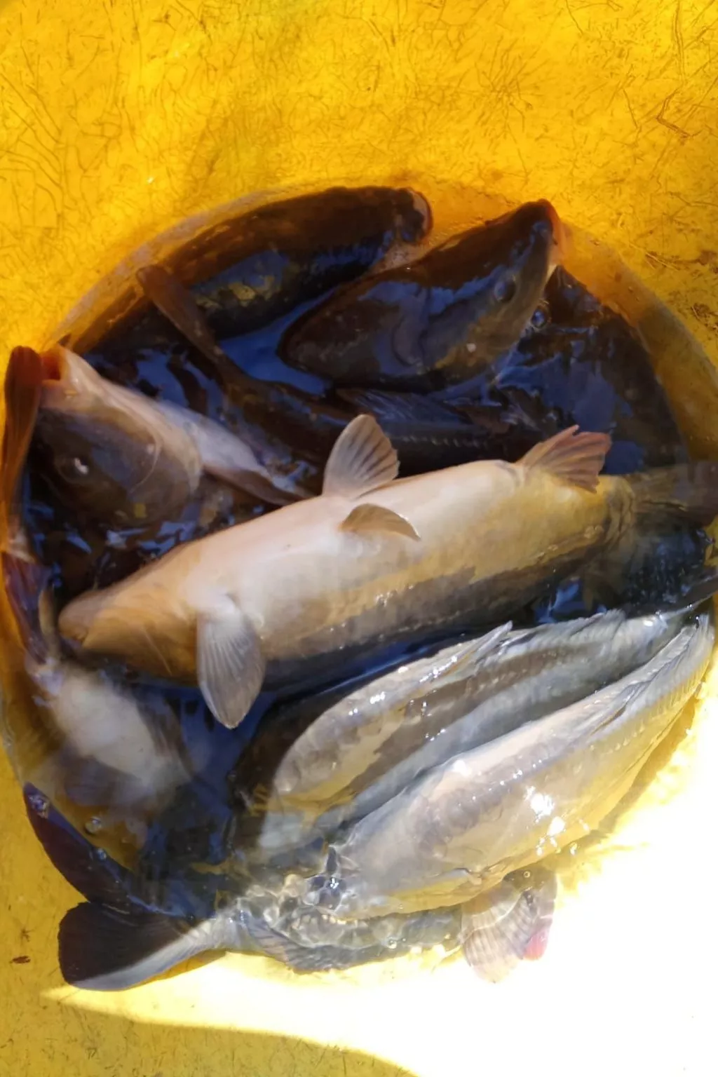 Blockhaus mit eigenem See-Image-tags.info