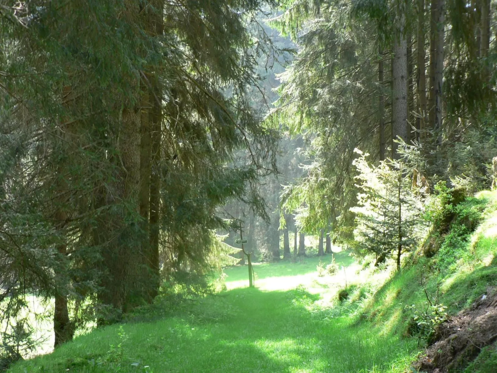 Für 6 Personen im Thüringer Wald-Image-tags.info
