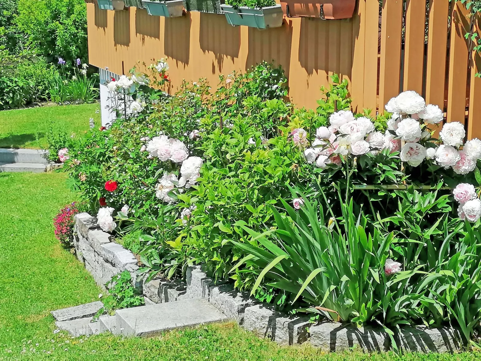 Ferien-Apartment-Draußen