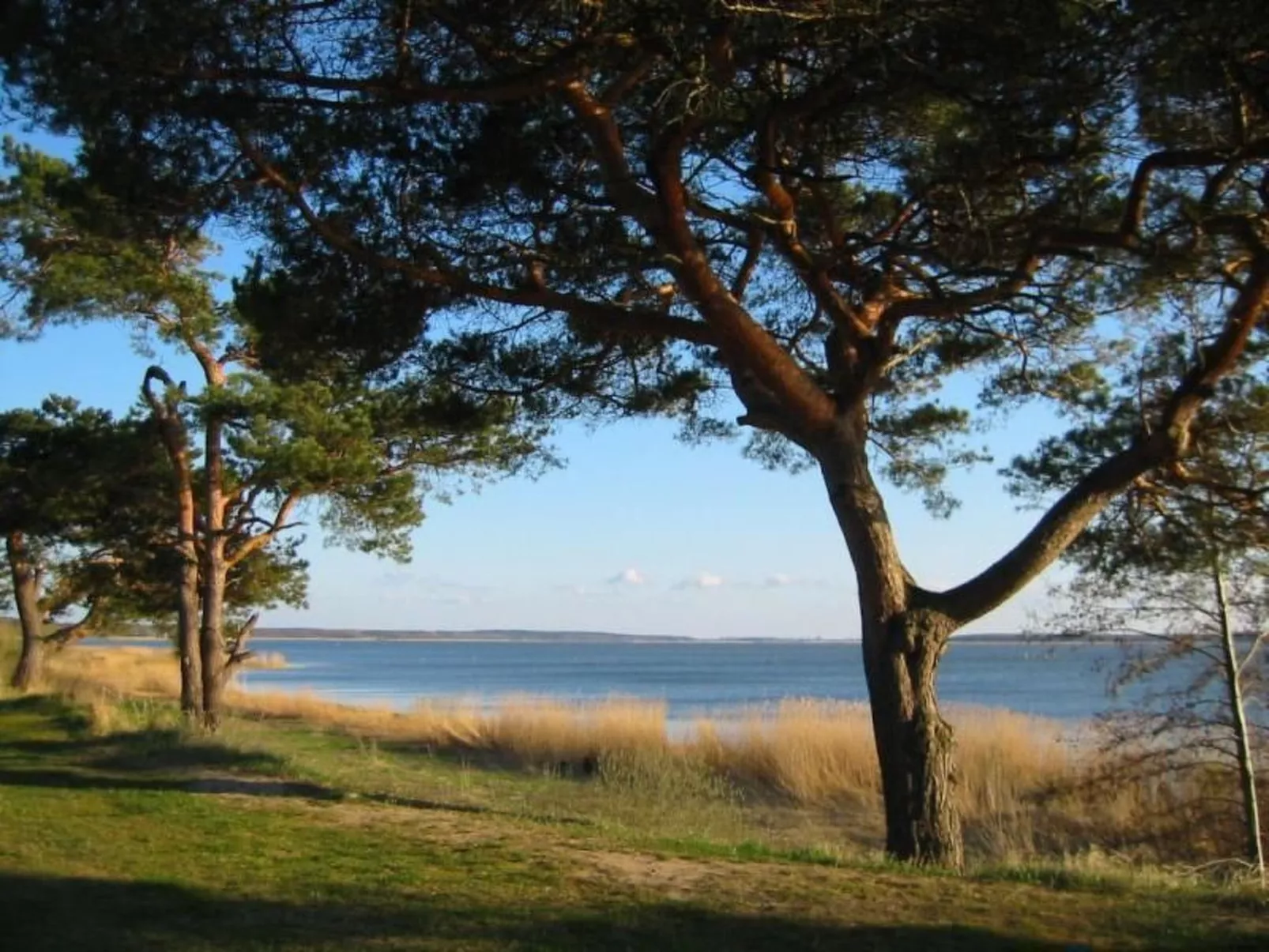 Am Buchenhain in Koserow-Draußen