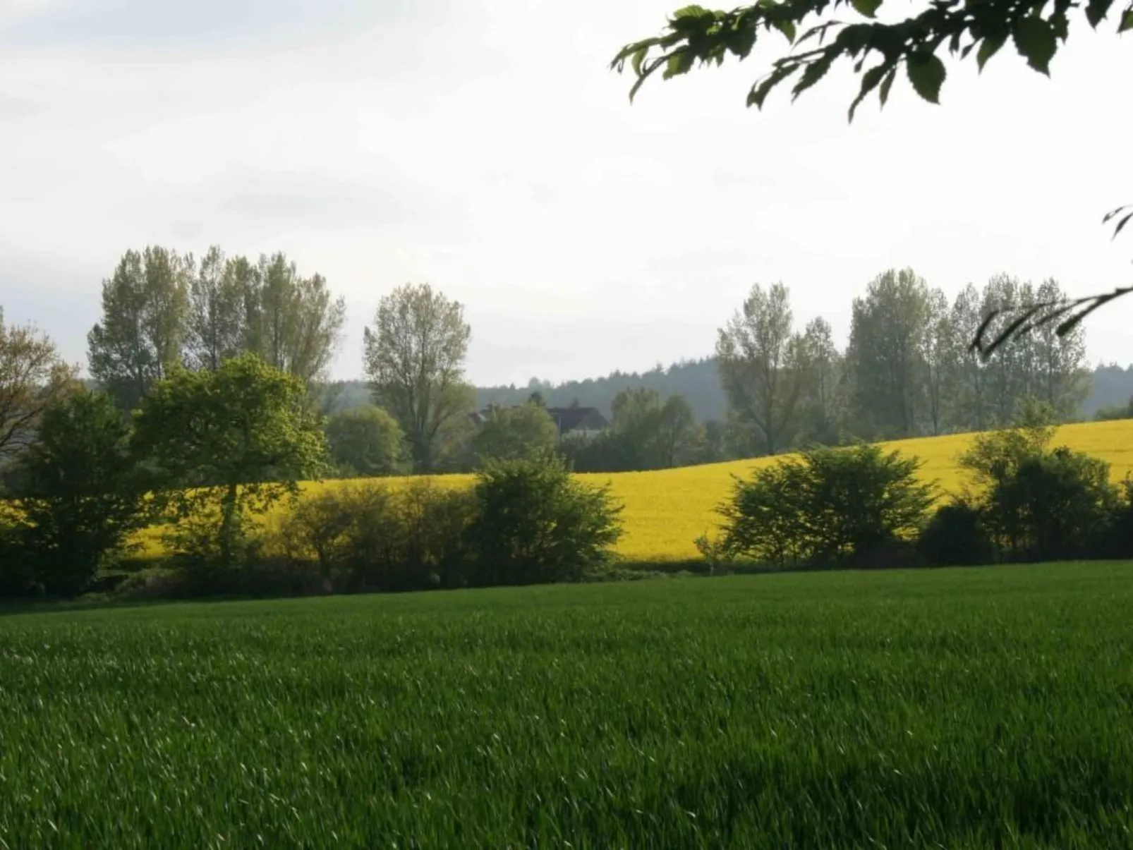 Hof Rodenkrog Fewo 2-Dehors