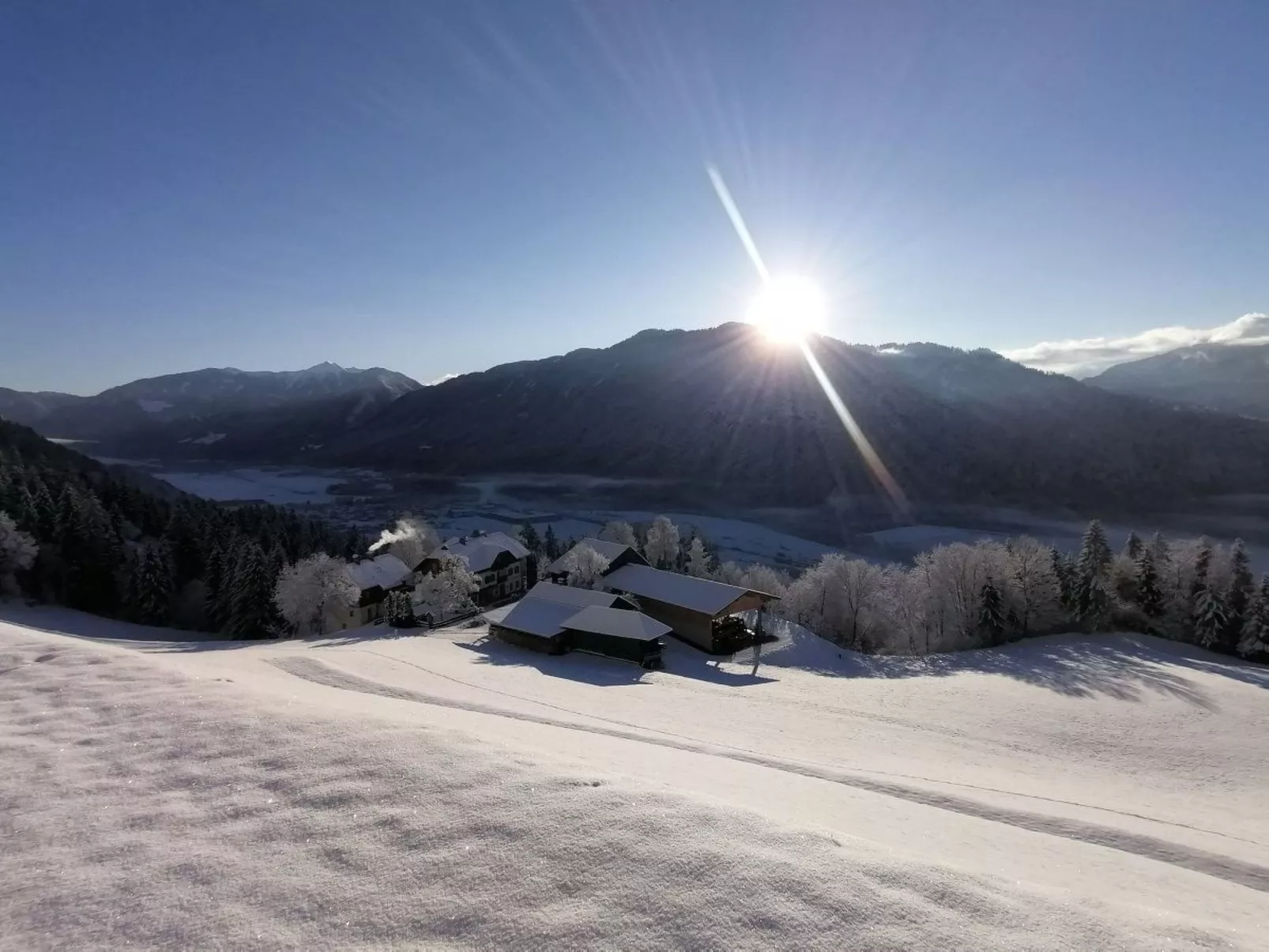 Waldblick in Steinfeld-Dehors