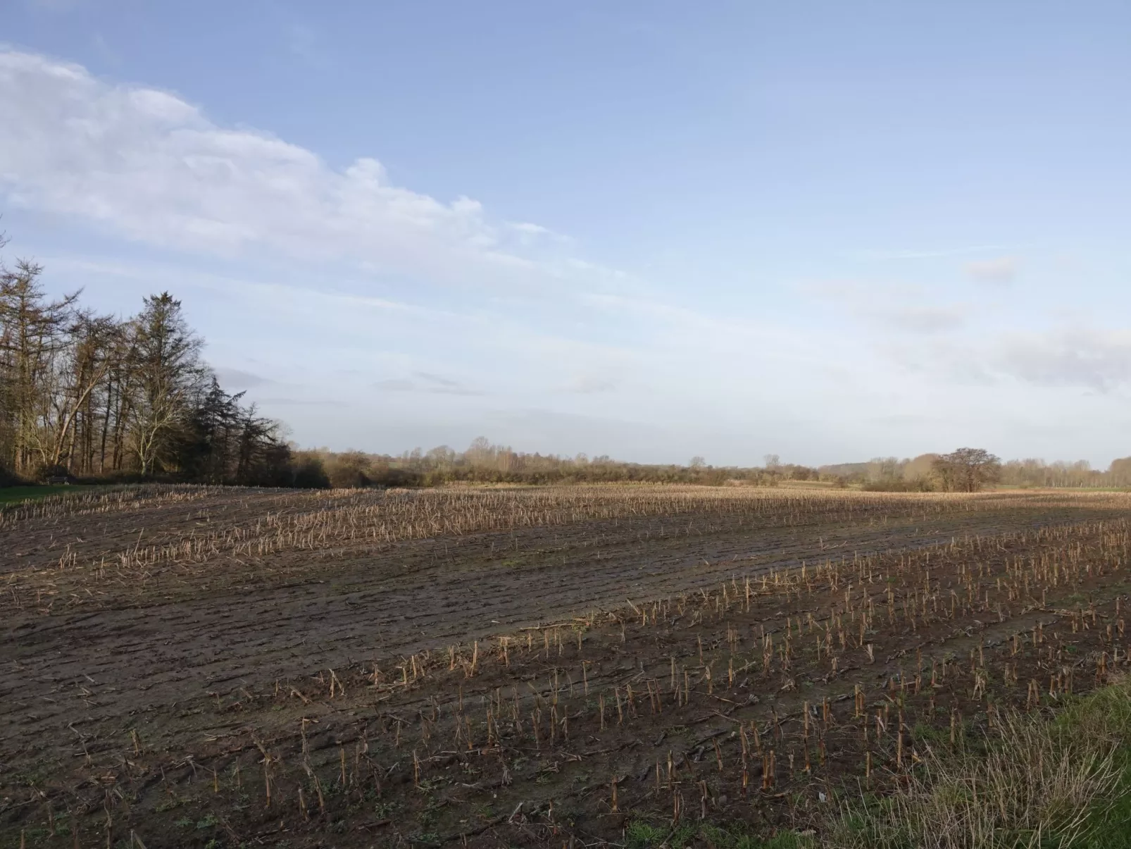 Hygge hus, tolle Ostseelage, freier Blick auf Felder-Outside