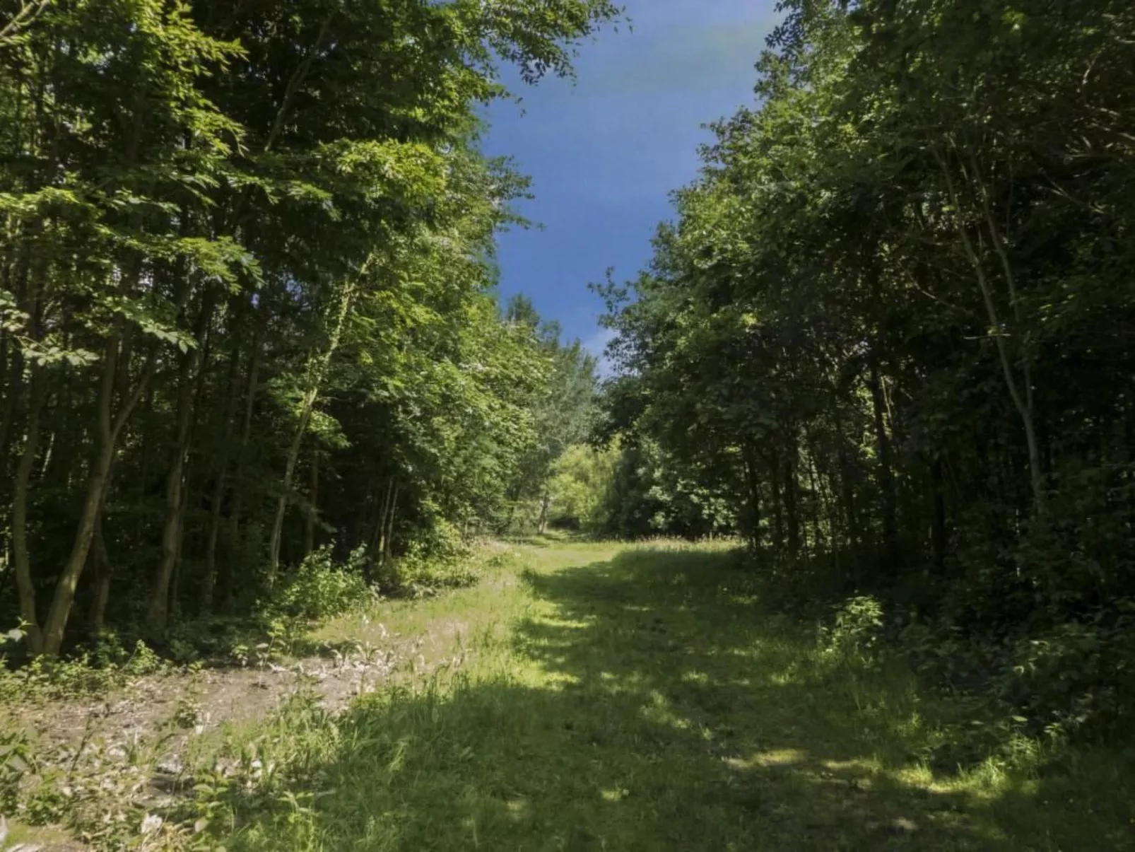 Relax Chalet-Outside