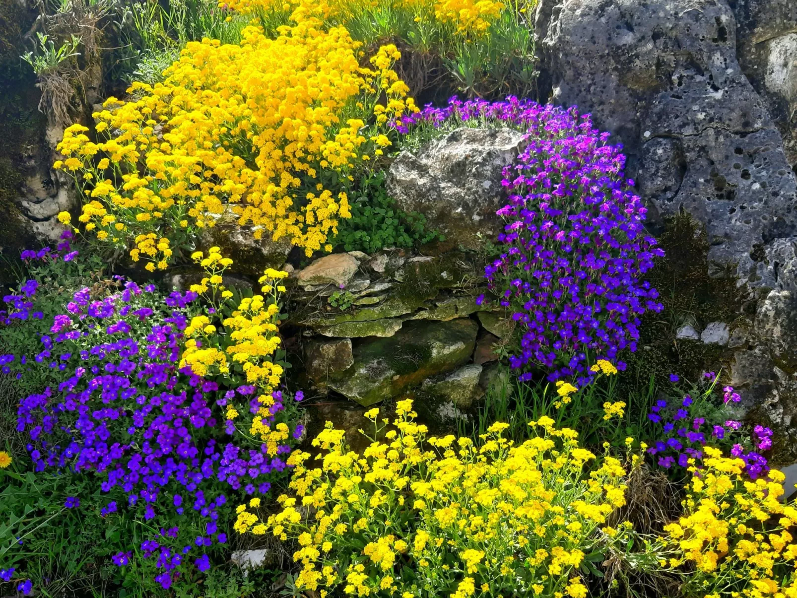 Romantische Villa mit weitläufigem Garten-Outside