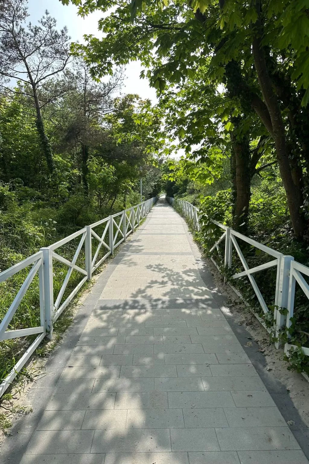 Welle in Dziwnow-Draußen