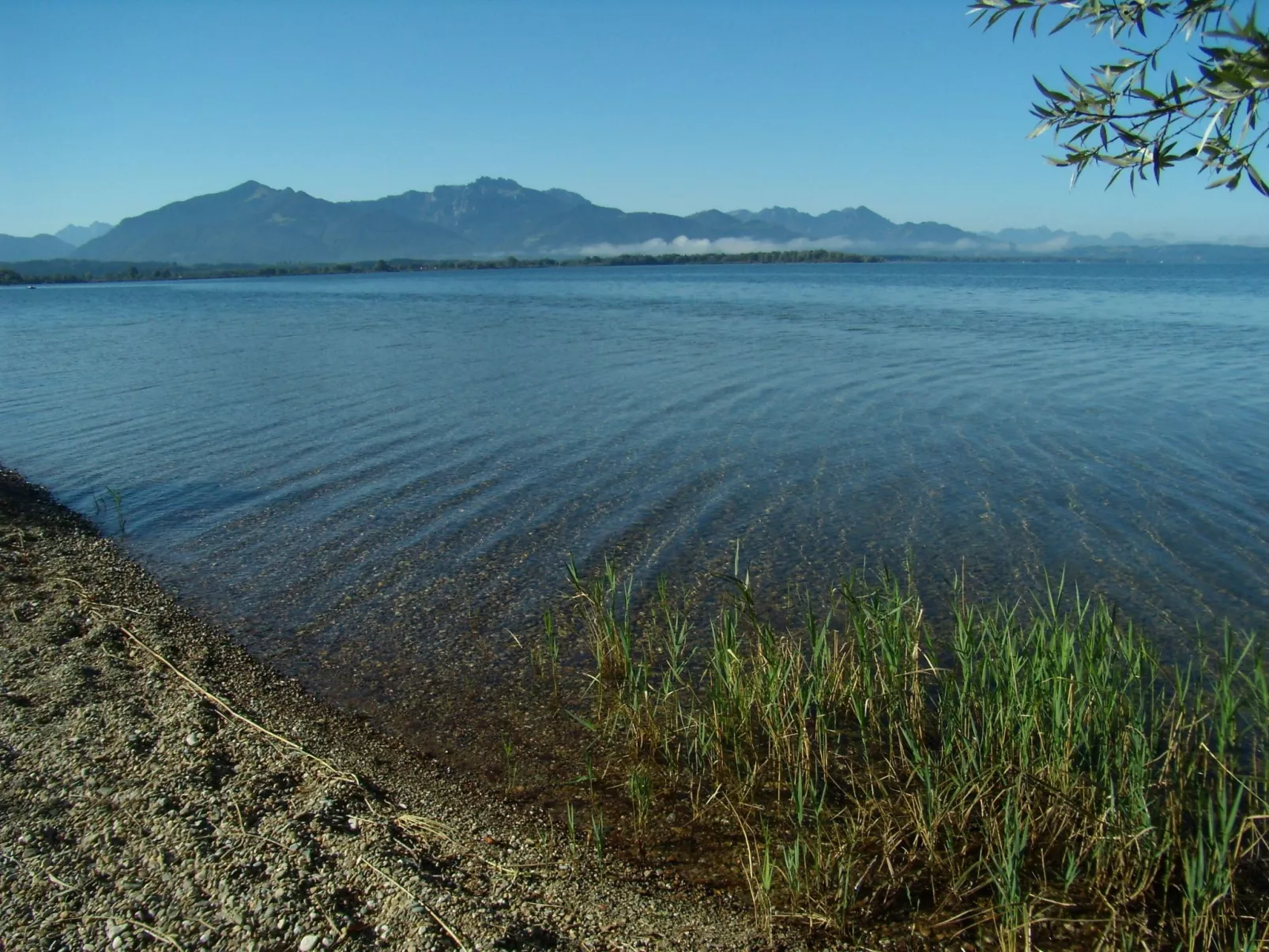 Betttis Bungalow-Outside