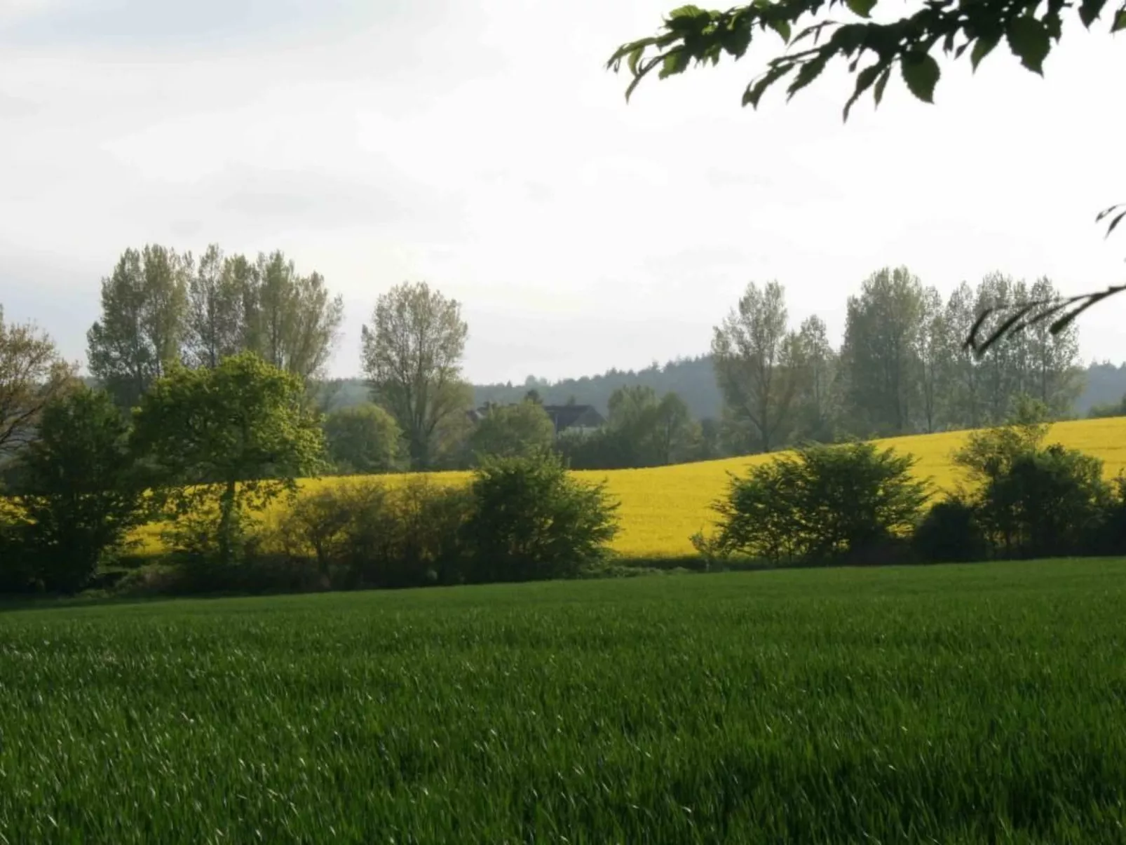 Hof Rodenkrog Fewo 1-Dehors