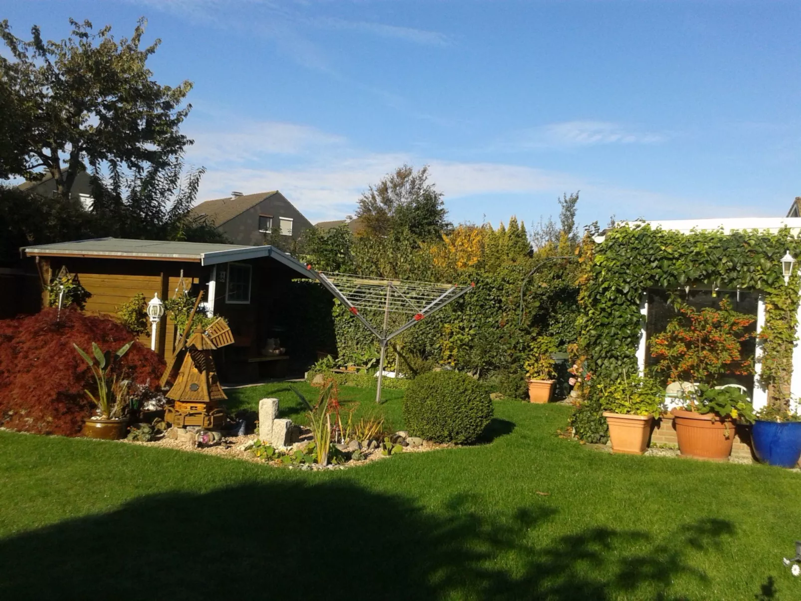 Heringsmöwe in Neue Tiefe-Draußen