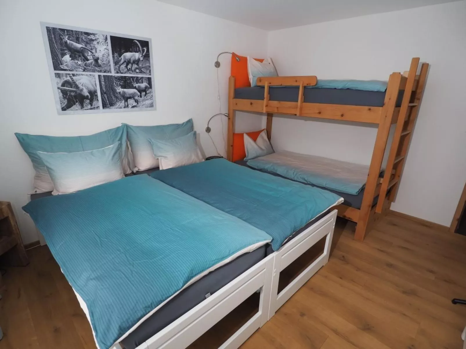 Chavallera 25-Drinnen