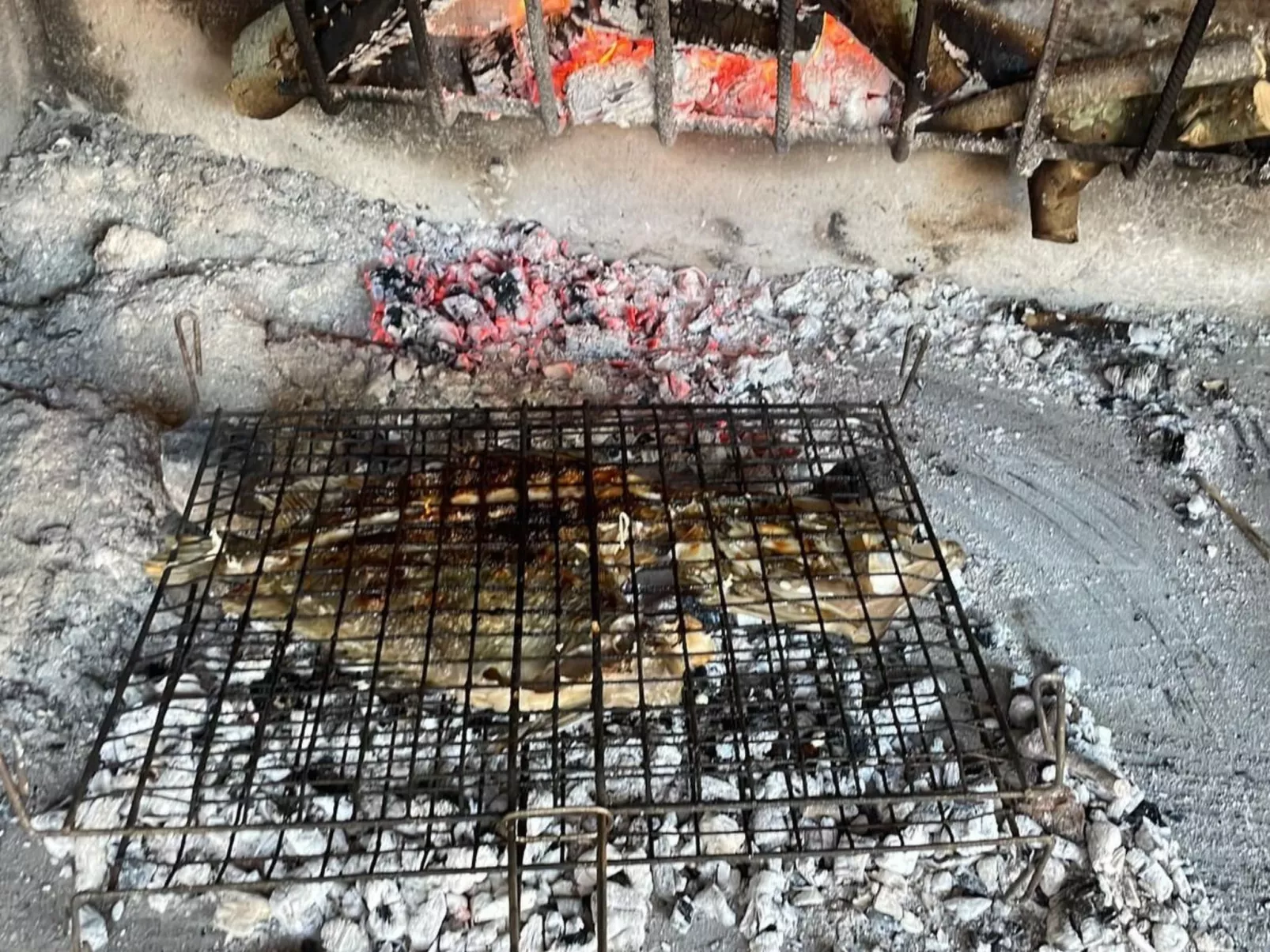 Strandhaus Danica - Ferienanlage Bain, Žut - Kornati-Inside