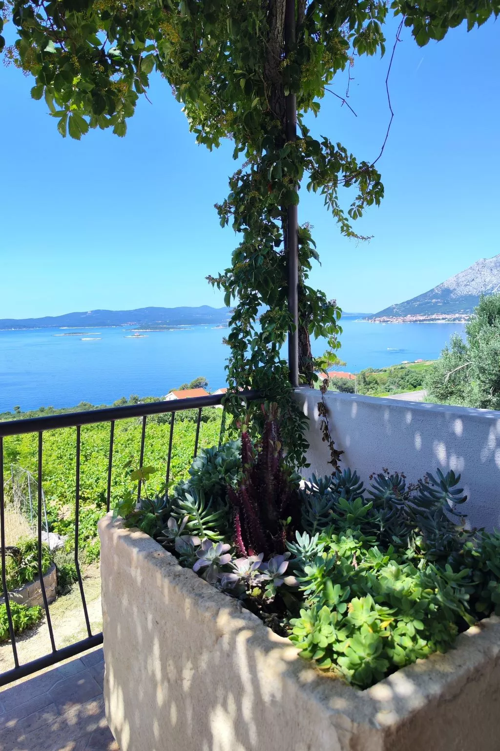 Mit Blick auf das Wasser-Draußen