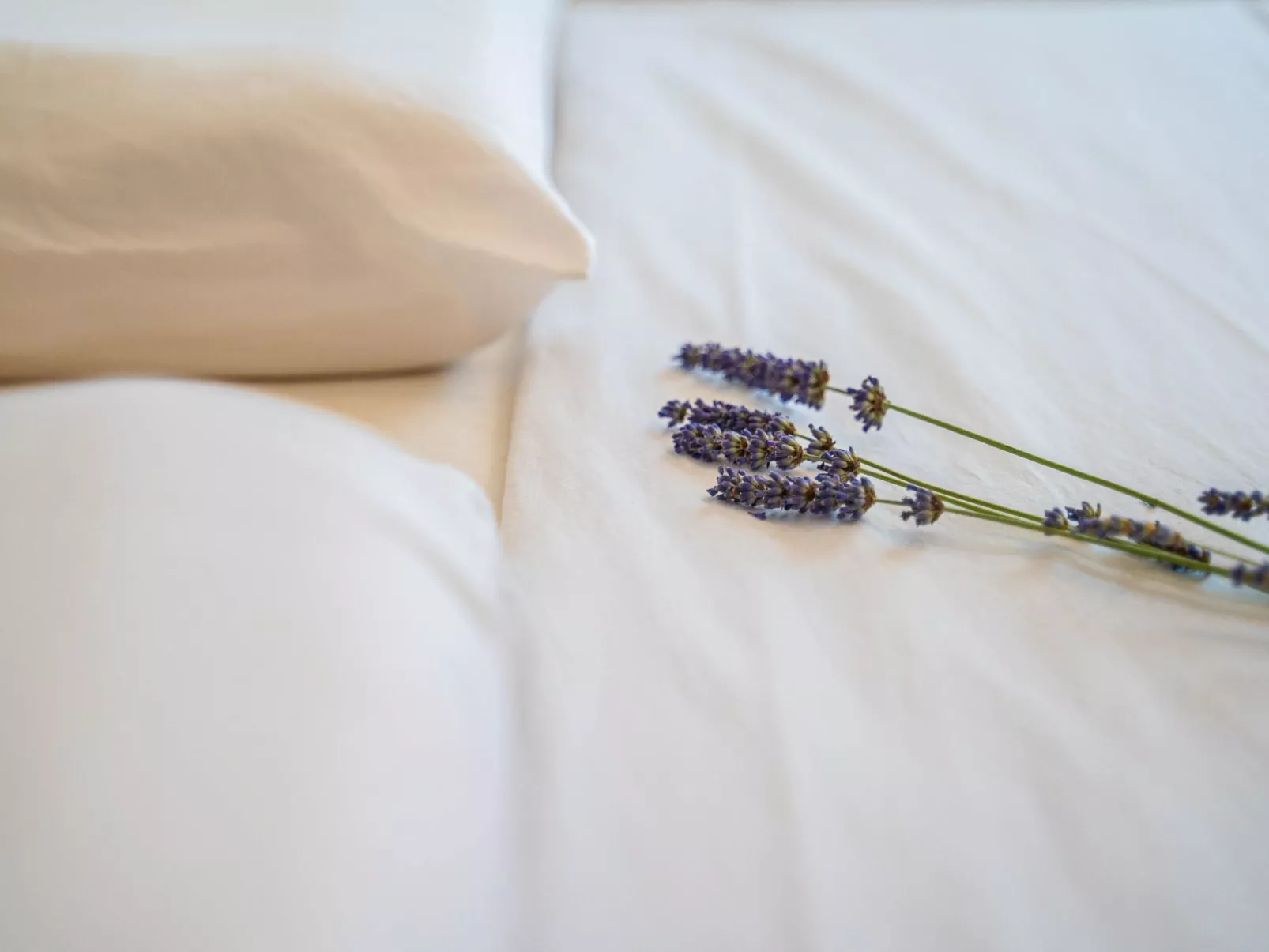 "Darko" mit Balkon-Inside