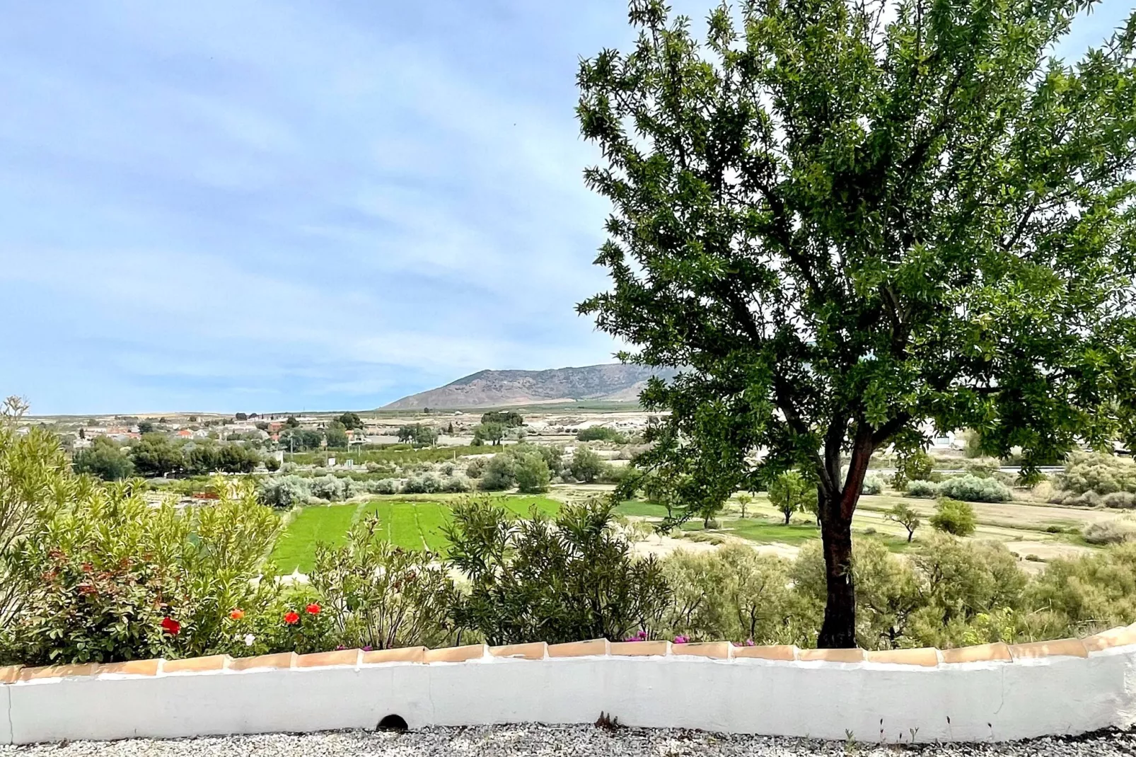 Casa Nadieh-Gardens summer