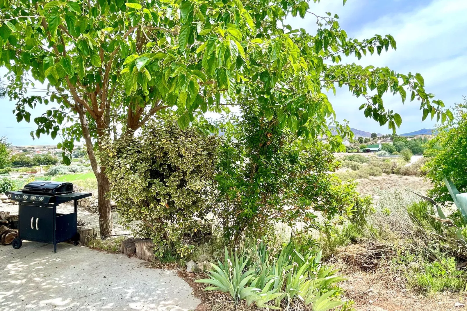 Casa Nadieh-Gardens summer