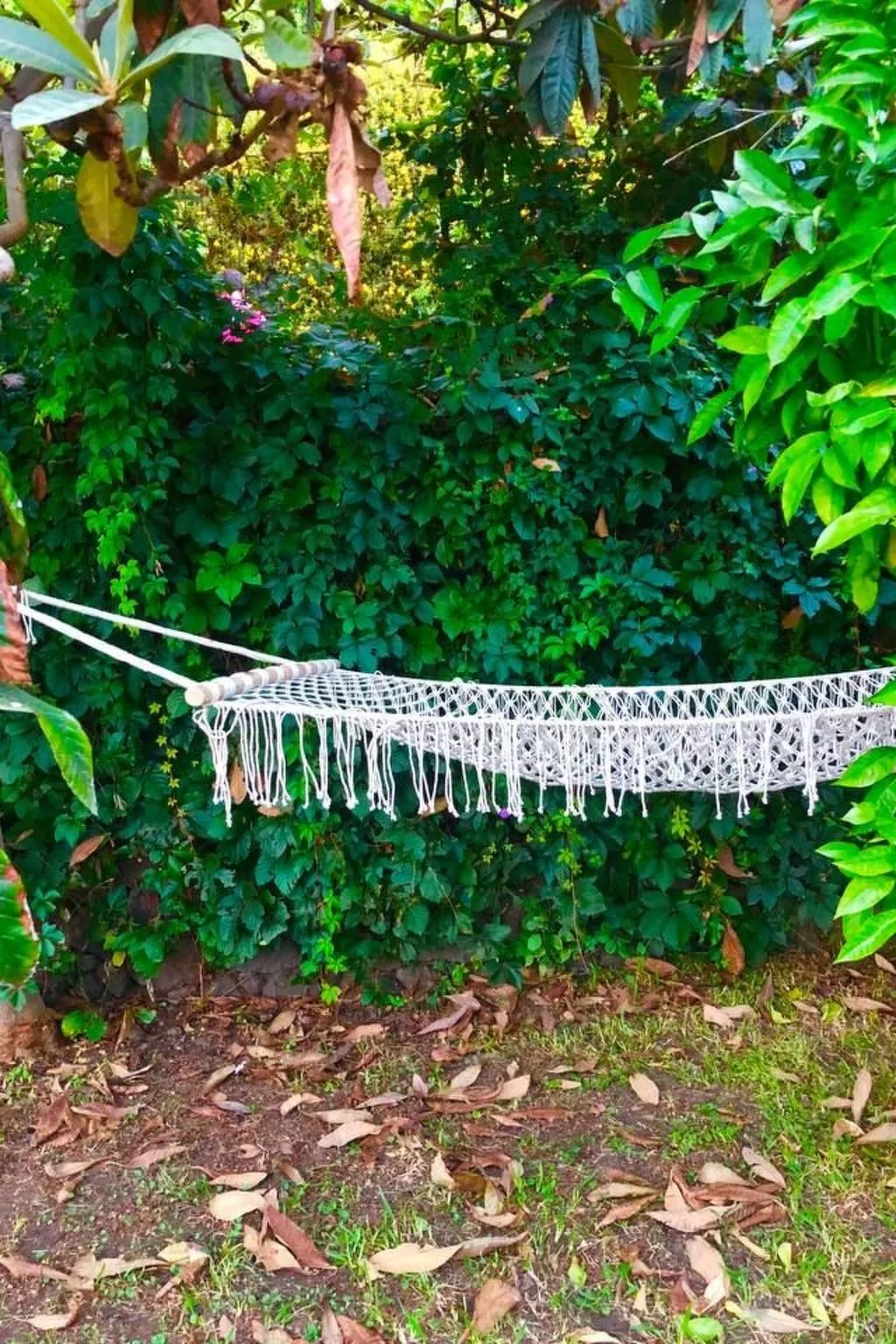 Villa mit Wasserblick-Outside