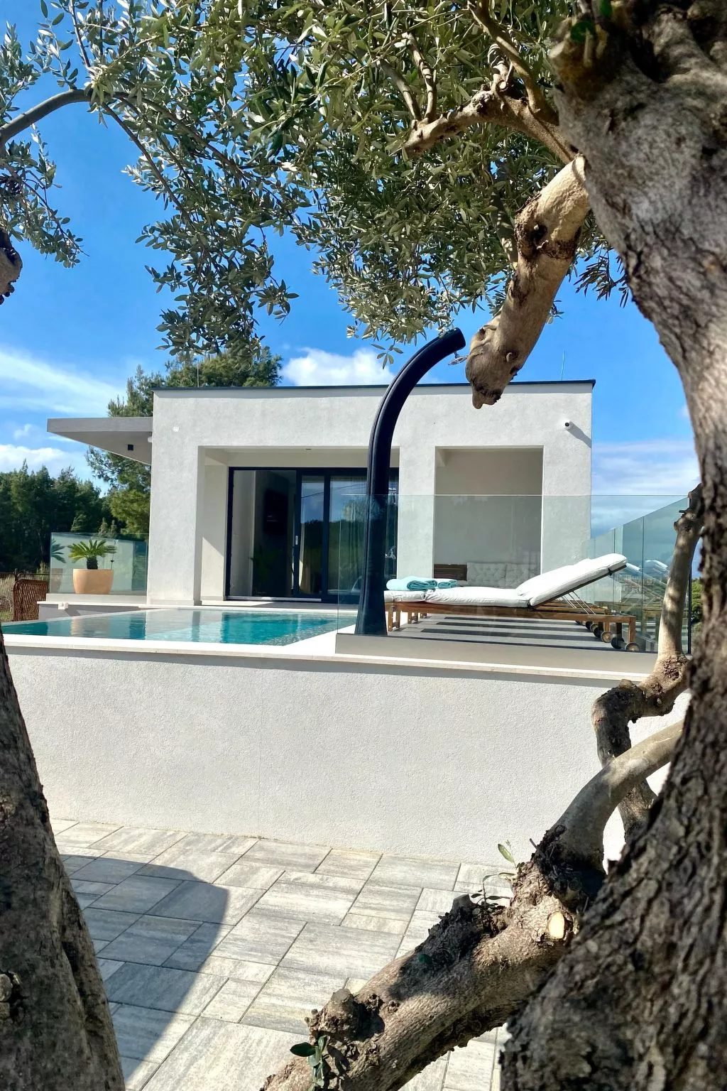 Villa mit beheiztem Infinity-Pool und Massagedüsen-Dehors