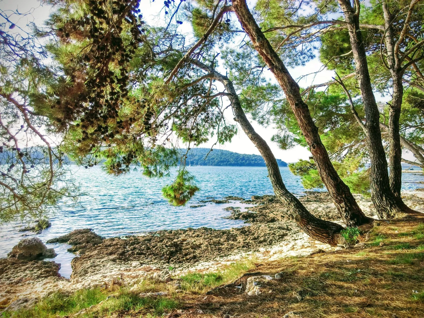 Wunderschöne Ferienwohnung in Ližnjan mit Garten, Grill und Terrasse-Dehors